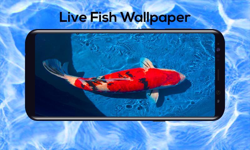 Aquarium Leben 3d Kostenlos Fisch Hintergrund Fur Android Apk Herunterladen