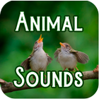 Animal Sounds for Cell Phone Free MP3 icon