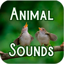 Animal Sounds for Cell Phone Free MP3 APK