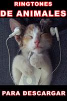 Animal Sounds for Cell Phone Free MP3 poster