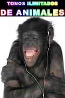Animal Sounds for Cell Phone Free MP3 screenshot 2