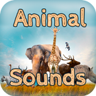 Animal Sounds for Cell Phone Free Mp3 Online icon