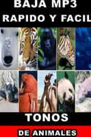 Animal Sounds for Cell Phone Free Mp3 Online screenshot 3