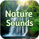 Sonidos Relajantes de la Naturaleza para Dormir APK