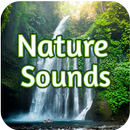 Relaxing Sounds of Nature for Sleep APK