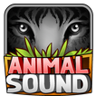 Animal Sounds