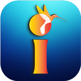 Indogo.tv آئیکن