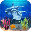 Aquarium Fish Live Wallpaper 2021 – 4k Parallax HD