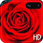 Red Rose Live Wallpaper Free ikona