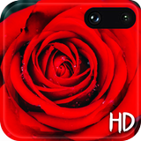 Red Rose Live Wallpaper Free आइकन