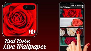 Red Rose Live Wallpaper Free 海报