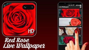 Red Rose Live Wallpaper Free-poster