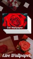 Red Rose Live Wallpaper Free 截图 2