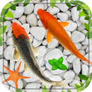 Garden Fish Live Wallpapers APK