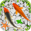 Garden Fish Live Wallpapers