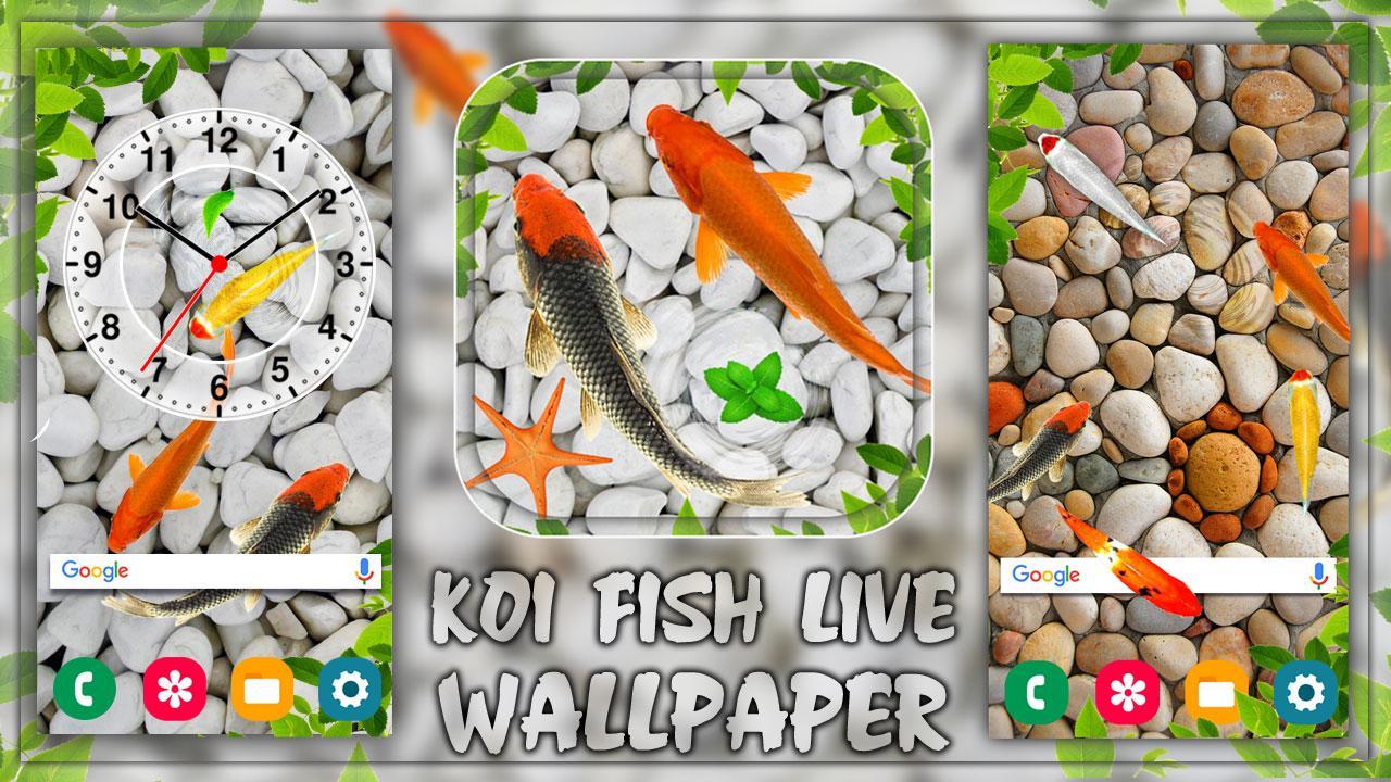Android 用の 魚ライブ壁紙 Koi Background Aquarium Apk をダウンロード