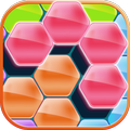 Hex Block Puzzles