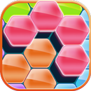 Hex Block Puzzles APK