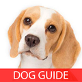 Beagle Pocket 101