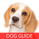 Beagle Pocket 101 aplikacja