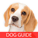 Beagle Pocket 101 APK