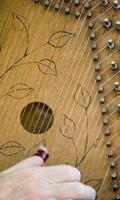 Zither Wallpaper 截圖 2