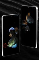 Channa Fish Wallpapers screenshot 1