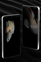 Channa Fish Wallpapers screenshot 2