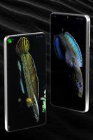 Channa Fish Wallpapers screenshot 3