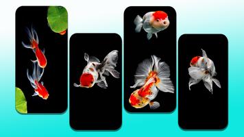 Goldfish Wallpaper ภาพหน้าจอ 1