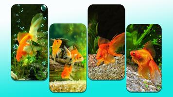 Goldfish Wallpaper ภาพหน้าจอ 3