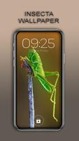 Insect Wallpaper скриншот 3