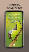 Insect Wallpaper скриншот 1