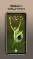 Insect Wallpaper скриншот 2