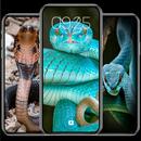 Snake Wallpapers HD aplikacja