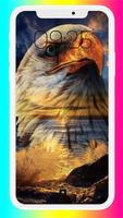 Eagle Wallpaper HD poster
