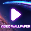 set video wallpaper on home screen