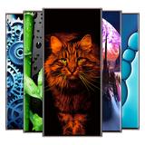 Wallpapers For Galaxy S22 APK