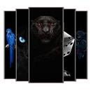 Black wallpapers APK