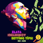 Betting Tips Analyzer App icône