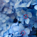 Find 5 Differences APK