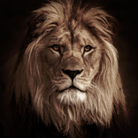 Найди слова