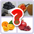 Guess The Fruits 2023