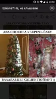 Школа? Не, не слышали ảnh chụp màn hình 4