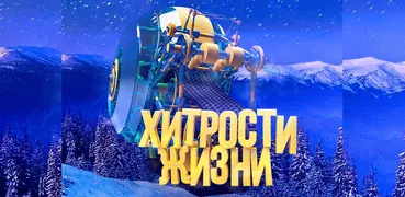 Хитрости жизни