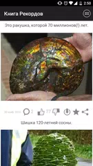 Книга Рекордов APK download