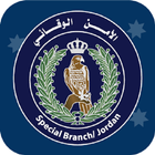 Jordan knights biểu tượng