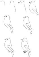How to draw স্ক্রিনশট 1