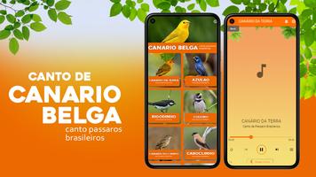 Canto  Canario Belga poster