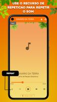 Canto  Canario Belga screenshot 3